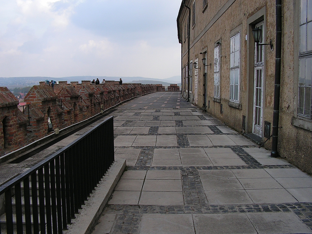 PICT0221.JPG