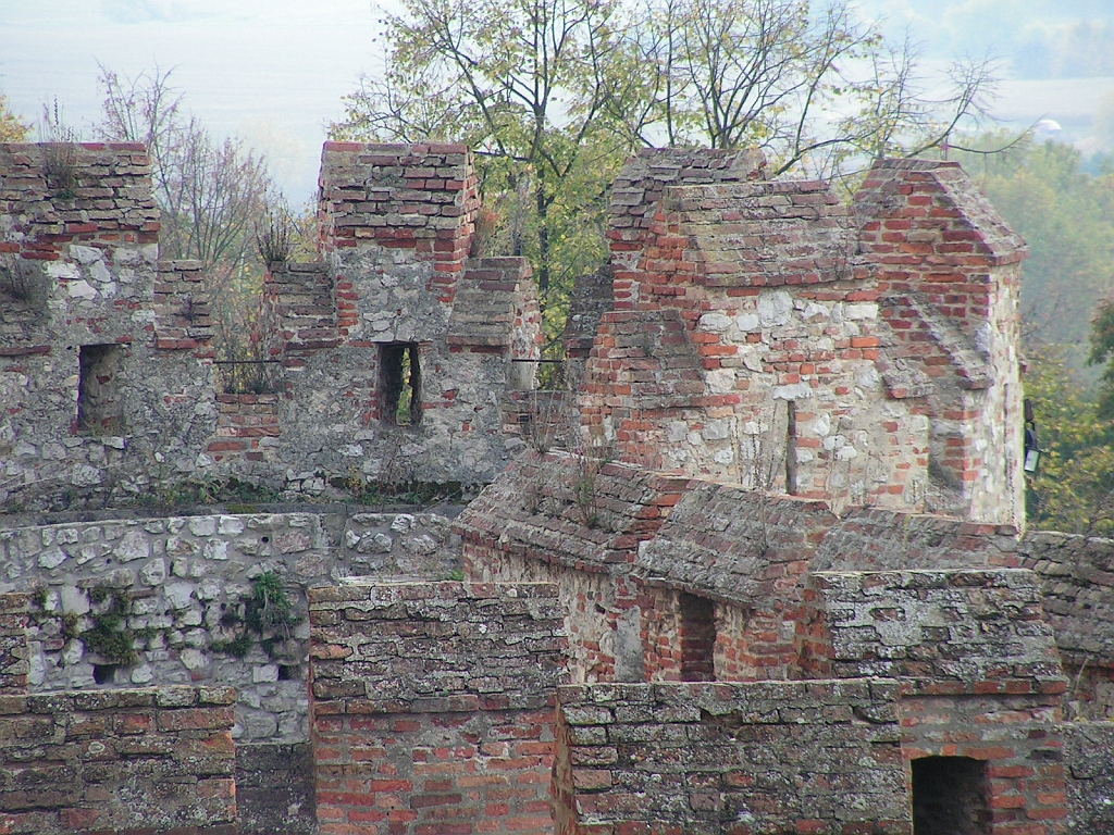 PICT0228.JPG