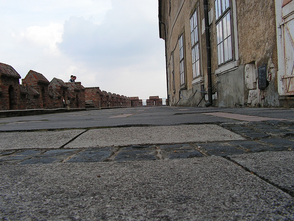 PICT0231.JPG