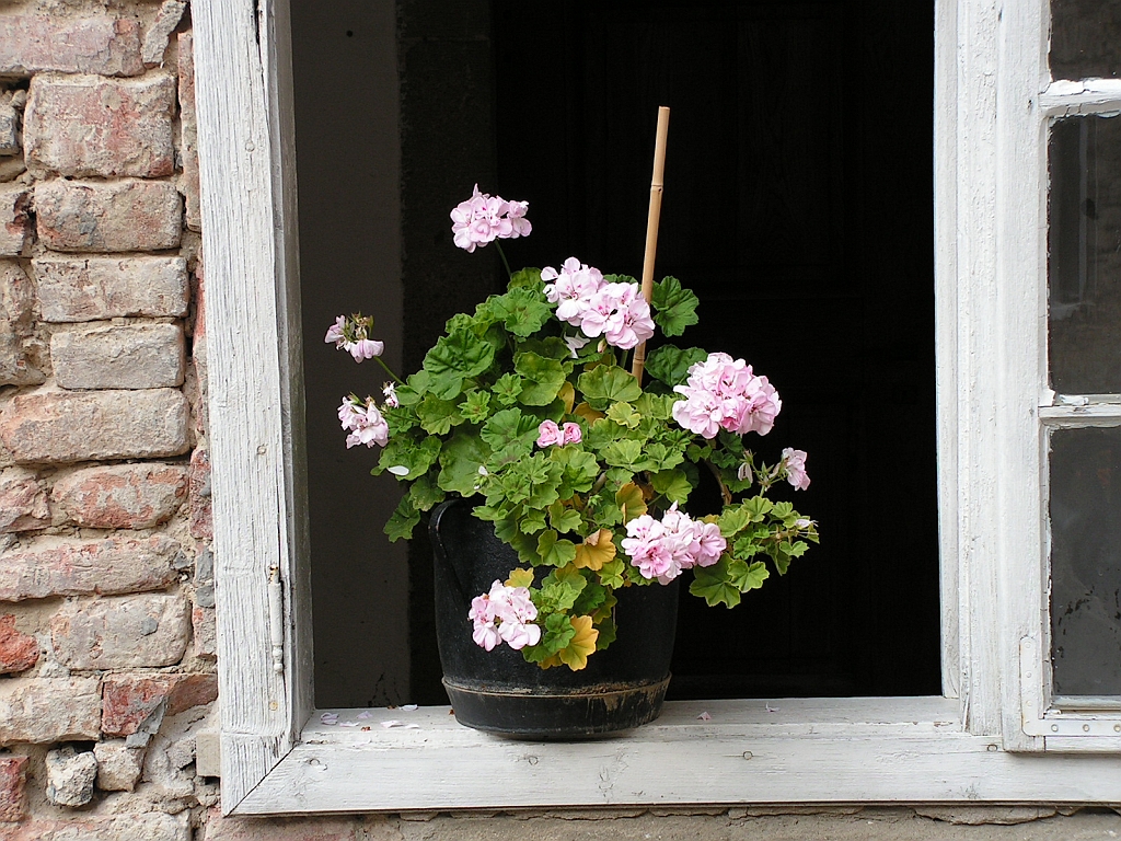 PICT0290.JPG