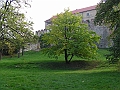 PICT0006