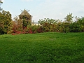 PICT0008