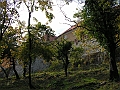 PICT0022