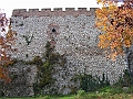 PICT0026