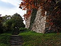 PICT0029