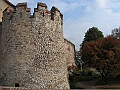 PICT0062