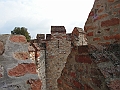 PICT0095