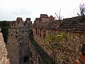 PICT0101