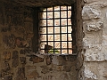 PICT0131