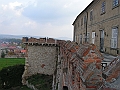 PICT0222