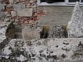 PICT0288