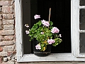 PICT0290