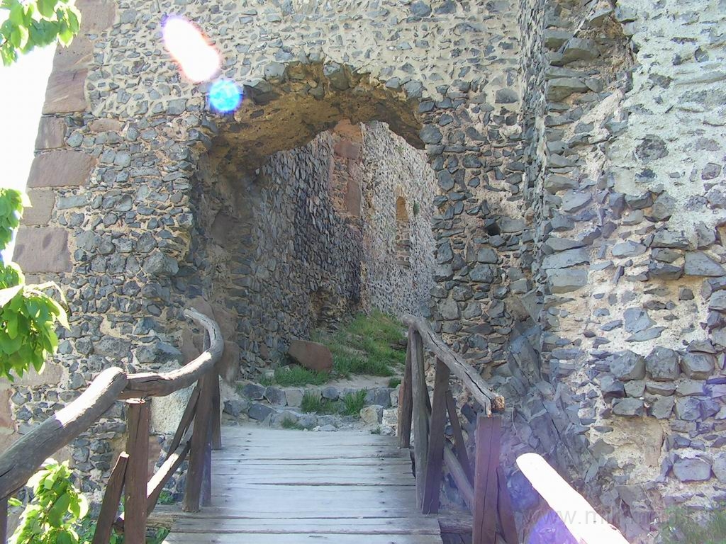Resize_of_PICT7204.JPG