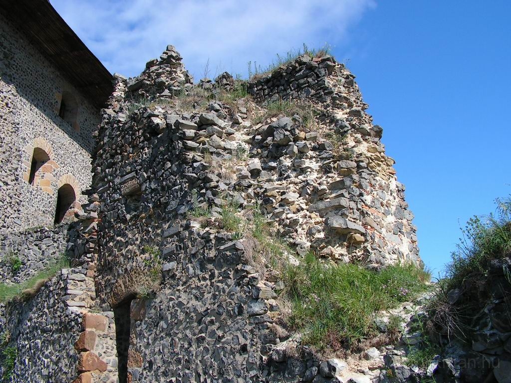Resize_of_PICT7237.JPG