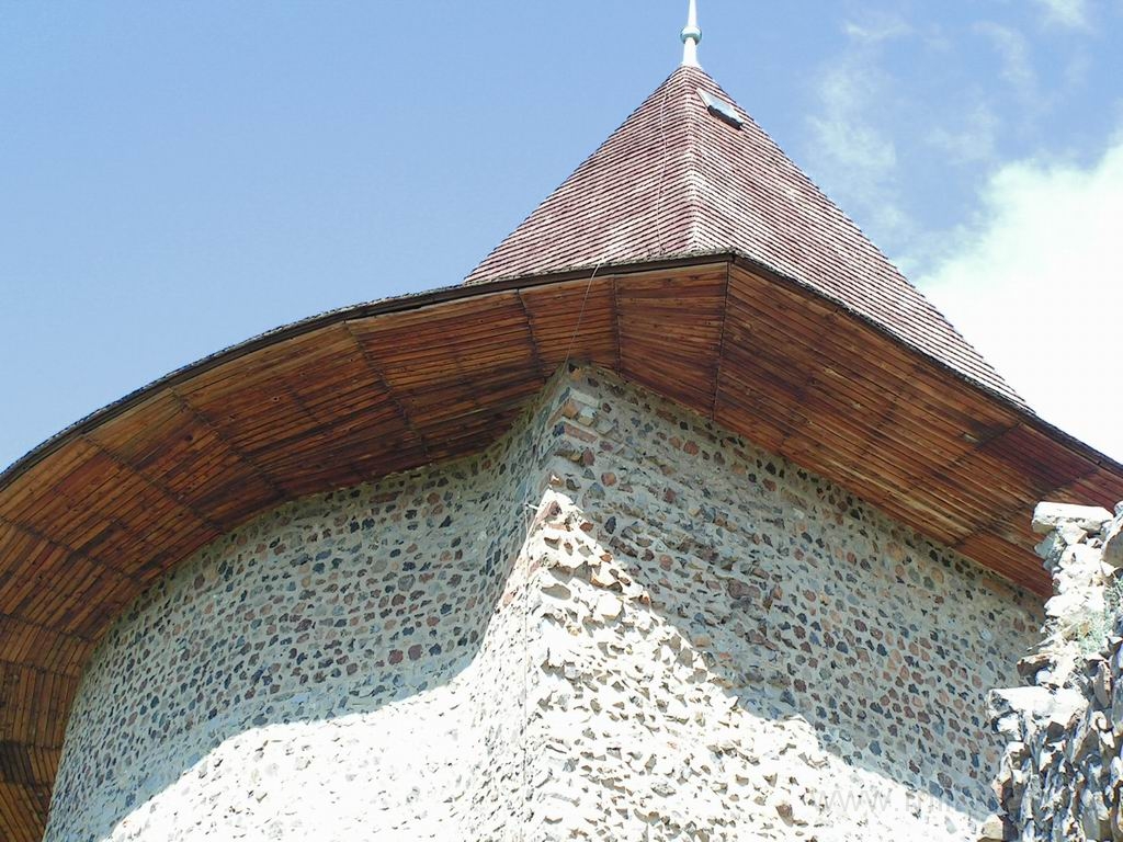 Resize_of_PICT7242.JPG
