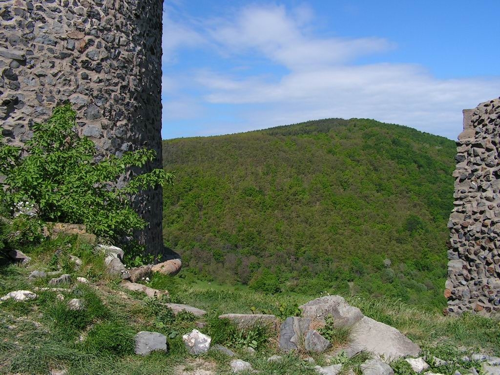 Resize_of_PICT7257.JPG