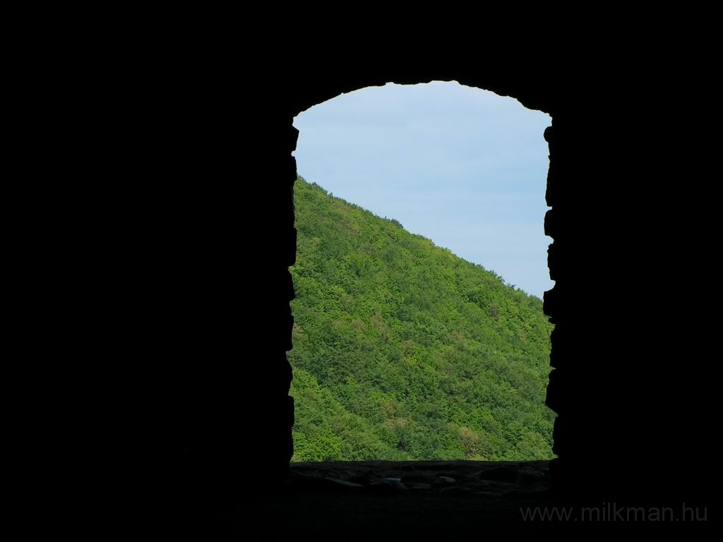 Resize_of_PICT7263.JPG