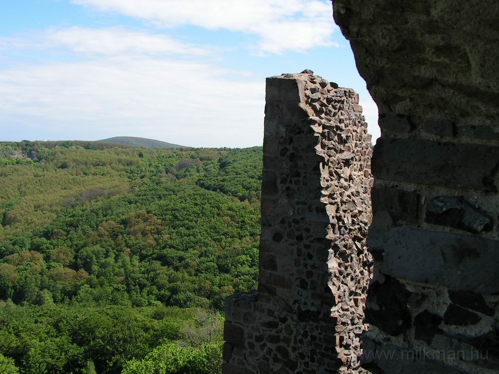 Resize_of_PICT7270.JPG