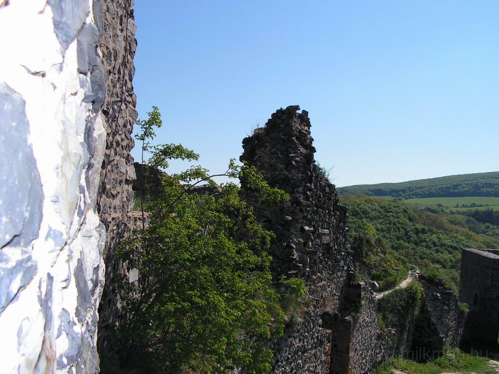 Resize_of_PICT7279.JPG