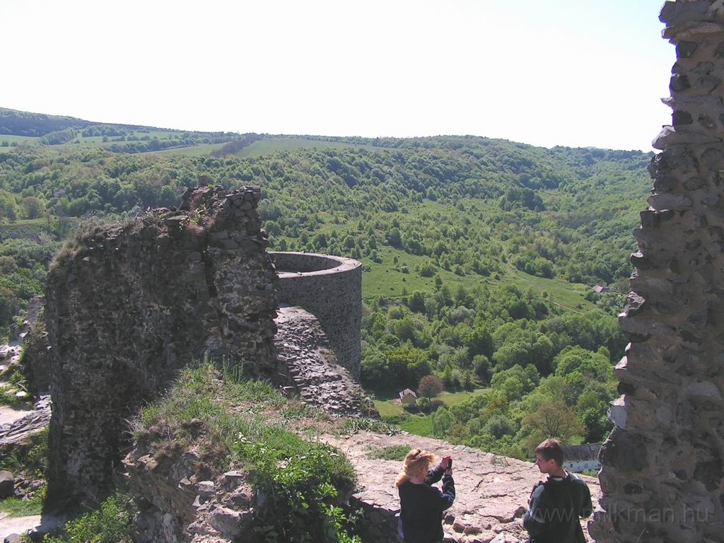 Resize_of_PICT7302.JPG