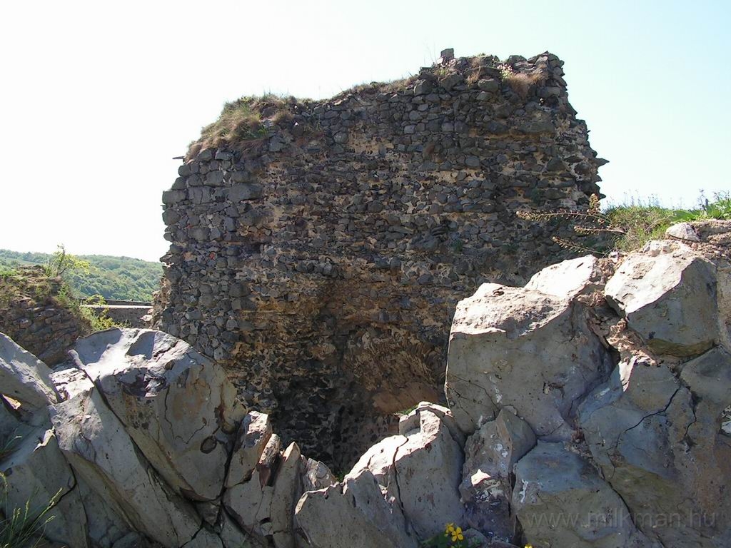 Resize_of_PICT7306.JPG