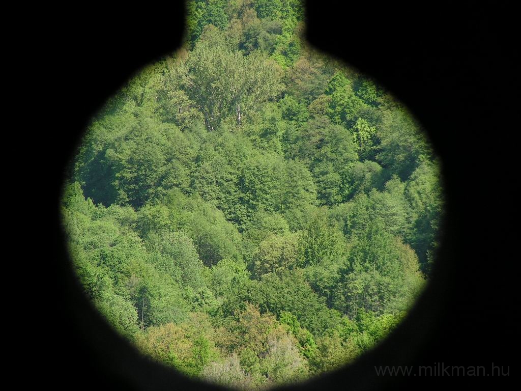 Resize_of_PICT7318.JPG