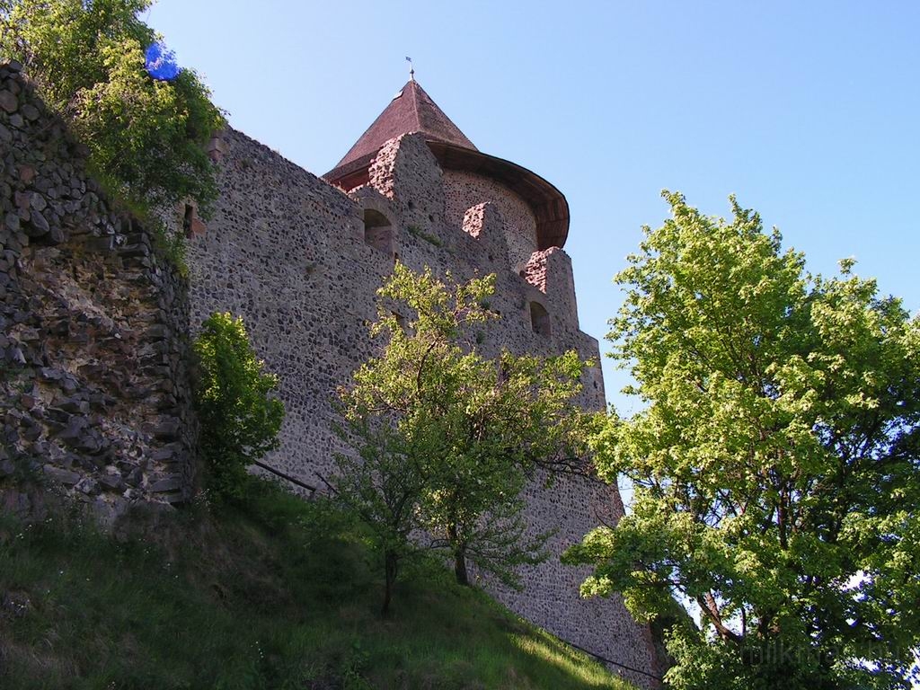 Resize_of_PICT7336.JPG
