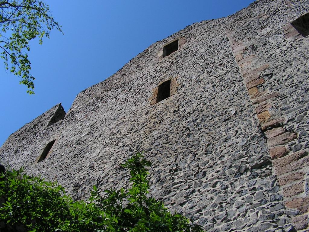 Resize_of_PICT7344.JPG