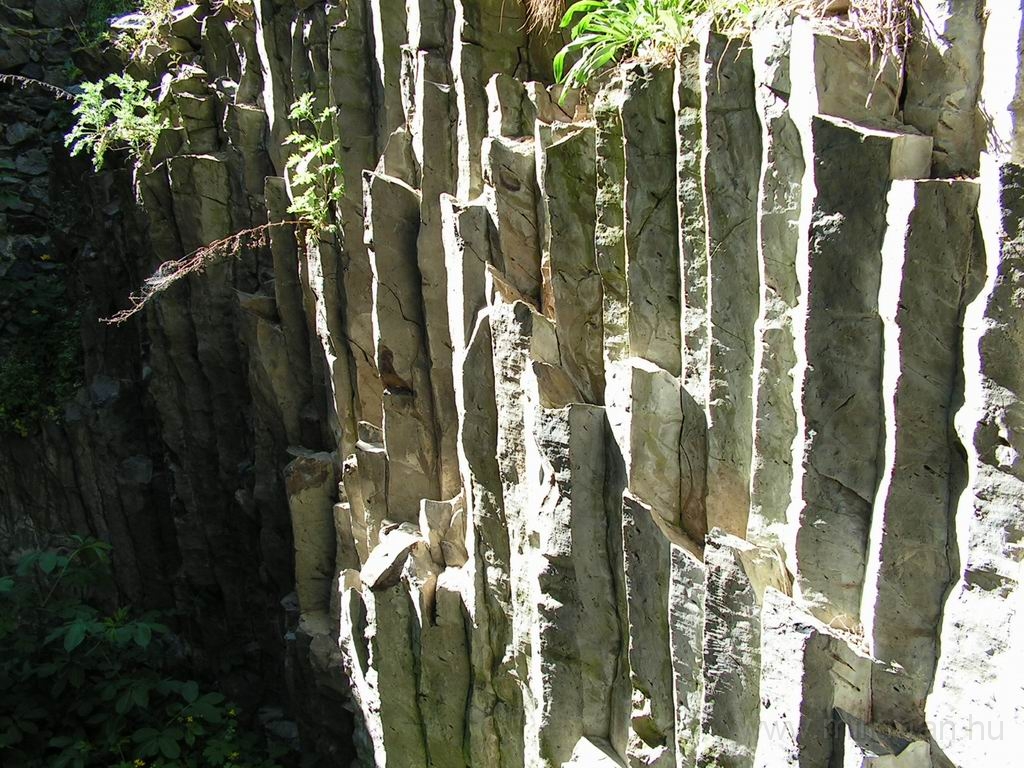 Resize_of_PICT7345.JPG