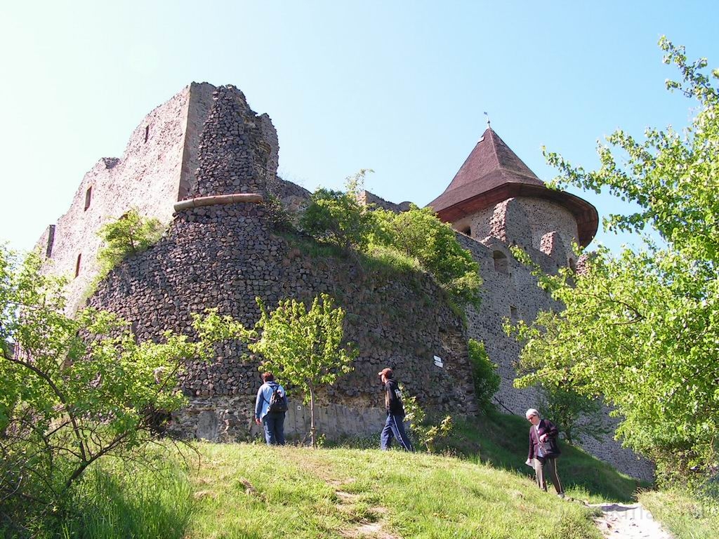 Resize_of_PICT7354.JPG