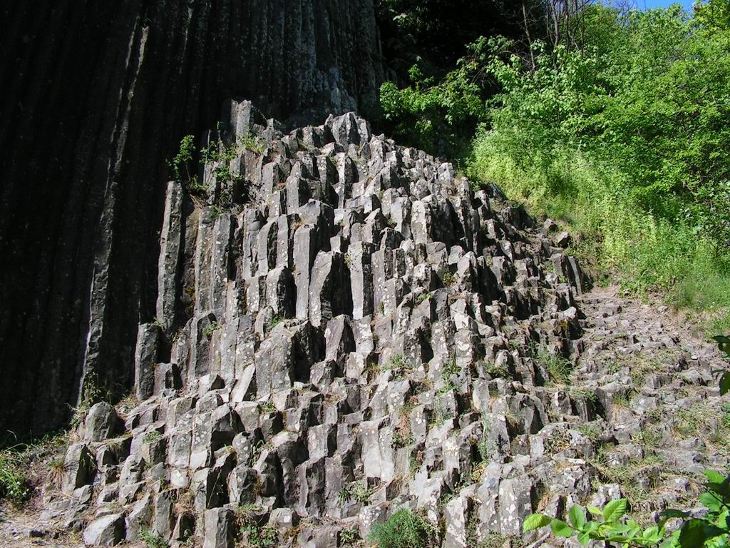 Resize_of_PICT7363.JPG