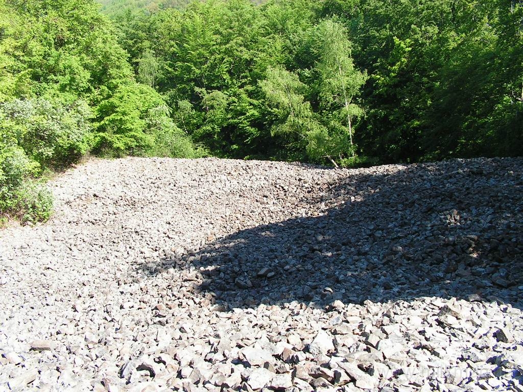 Resize_of_PICT7378.JPG
