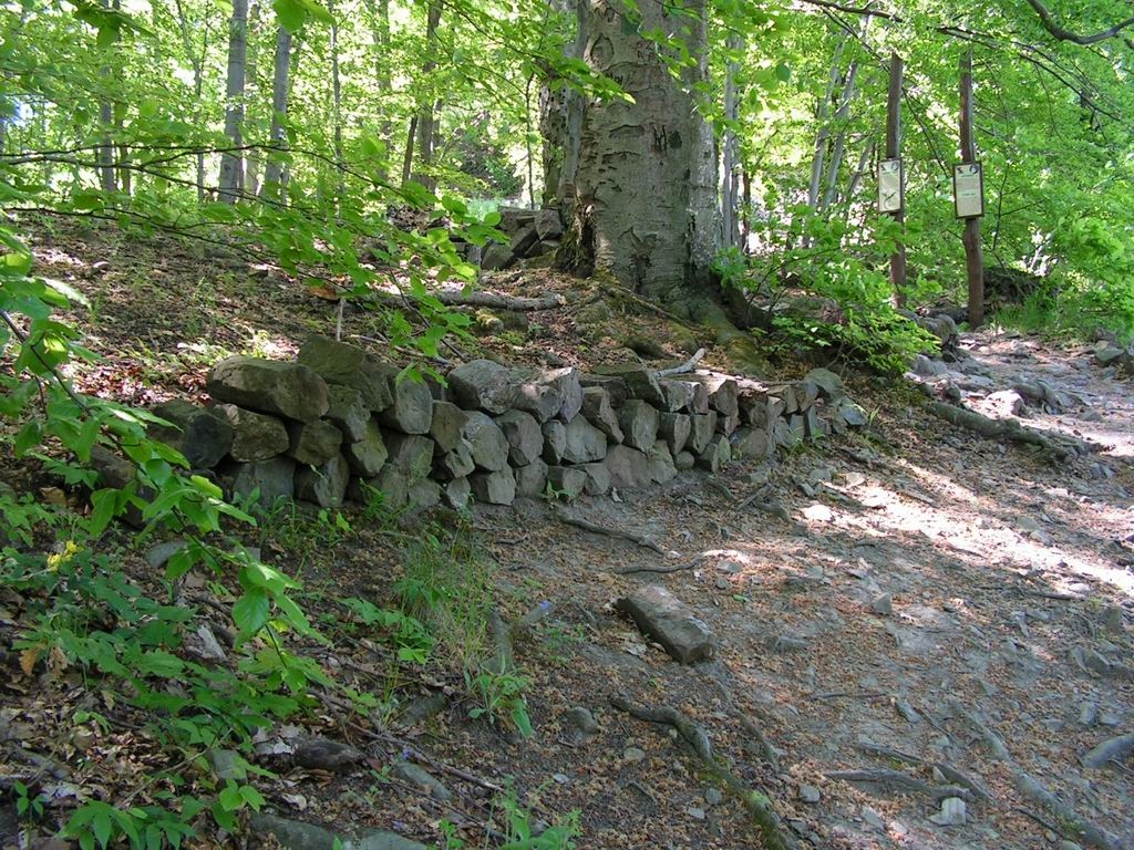 Resize_of_PICT7394.JPG