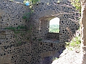 Resize_of_PICT7228