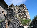 Resize_of_PICT7237