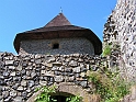 Resize_of_PICT7312