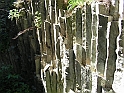 Resize_of_PICT7345