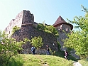 Resize_of_PICT7354