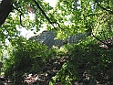 Resize_of_PICT7400