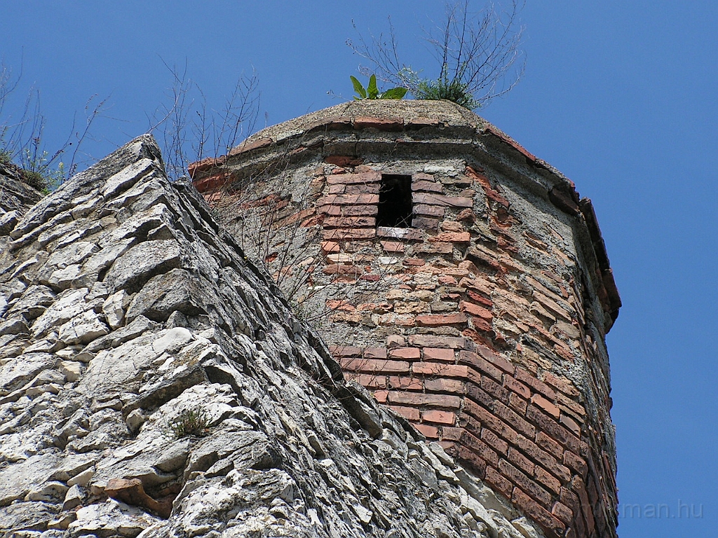 PICT2088.JPG