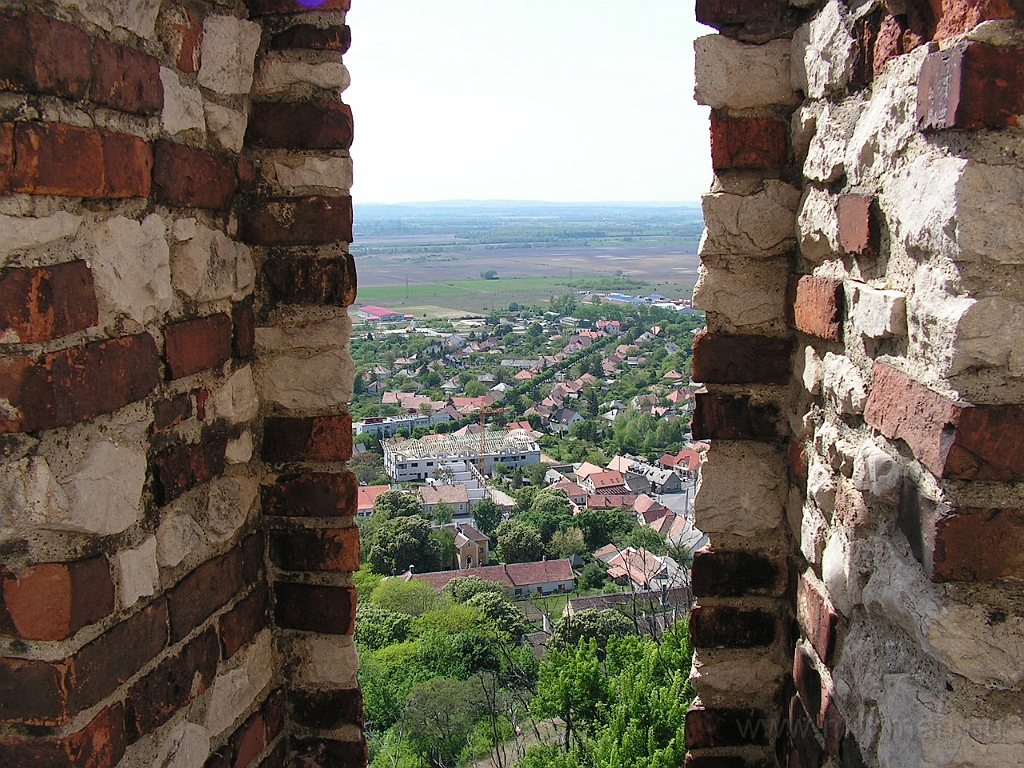 PICT2116.JPG