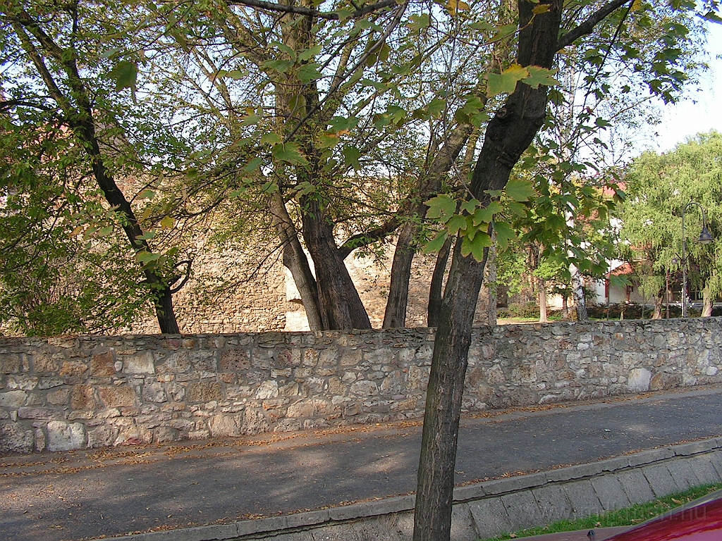 PICT5472.JPG