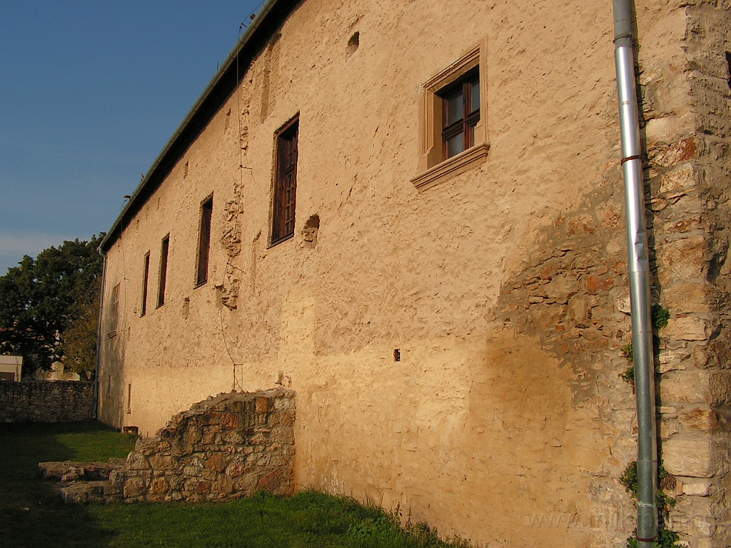 PICT5493.JPG