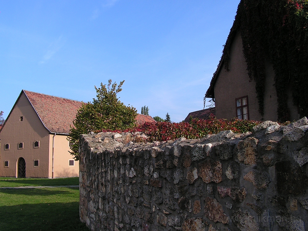 PICT5495.JPG
