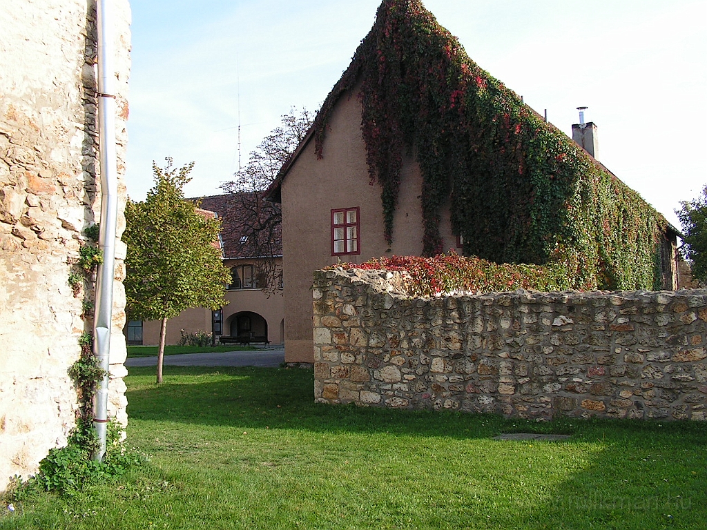 PICT5497.JPG