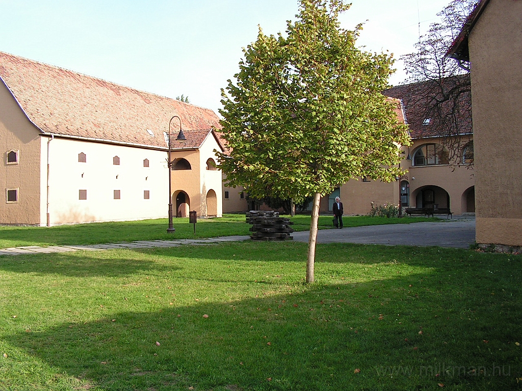 PICT5498.JPG