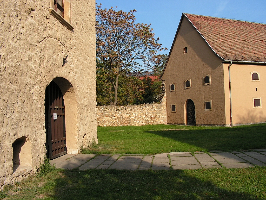 PICT5499.JPG