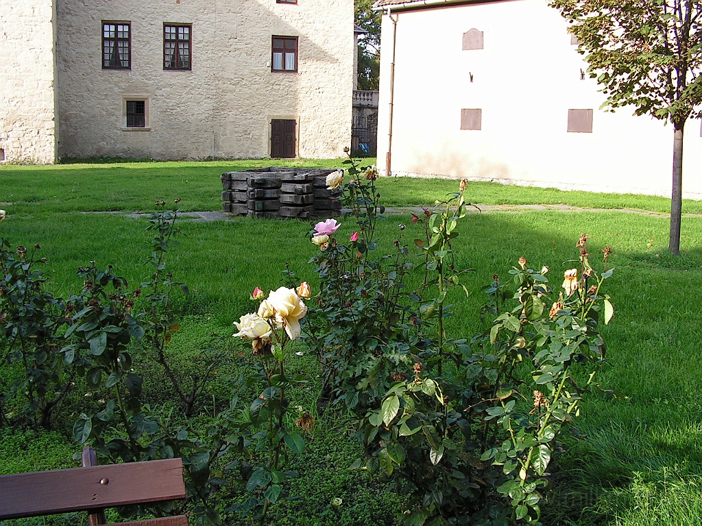 PICT5504.JPG