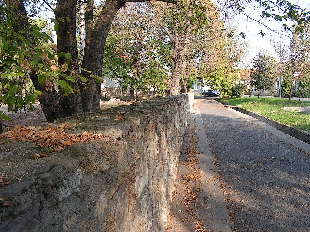 PICT5509.JPG