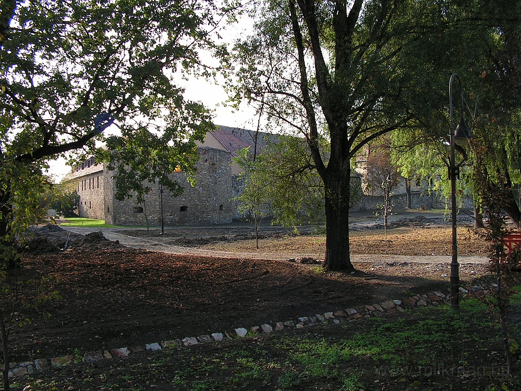 PICT5517.JPG
